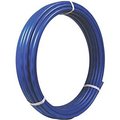 House APPB30012 0.5 in. x 300 ft. Pex Coil, Blue HO2630729